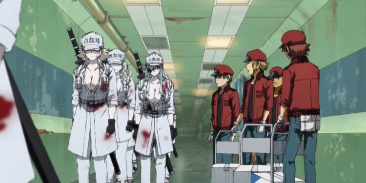 Hataraku Saibou 2nd Season Fansub Önerisi 4 Hataraku Saibou 2nd Season Fansub Önerisi