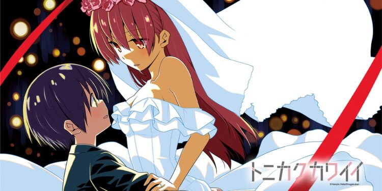 Tonikaku Kawaii Fansub Önerisi