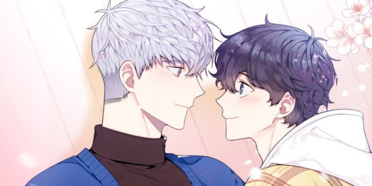 Cherry Blossom After Winter Öneri Ve Detaylı Tanıtım 4 Cherry Blossom After Winter