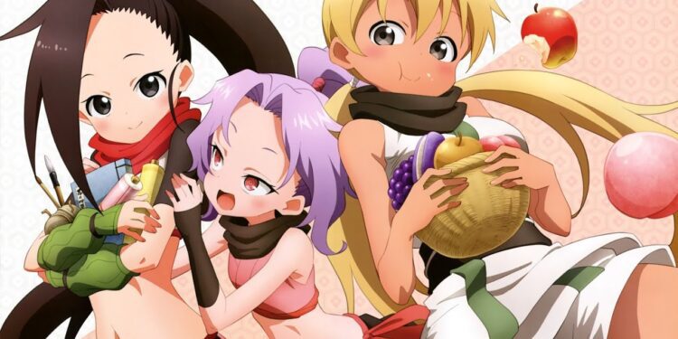 Kunoichi Tsubaki no Mune no Uchi Fansub Önerisi 4 Kunoichi Tsubaki no Mune no Uchi Fansub Önerisi