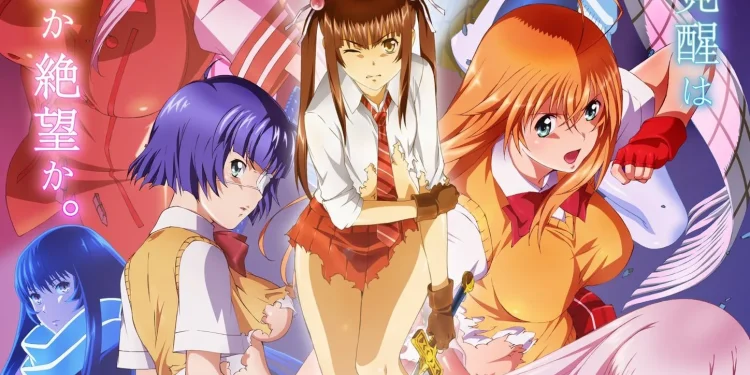 Shin Ikkitousen Fansub Önerisi 4 Shin Ikkitousen Fansub Önerisi